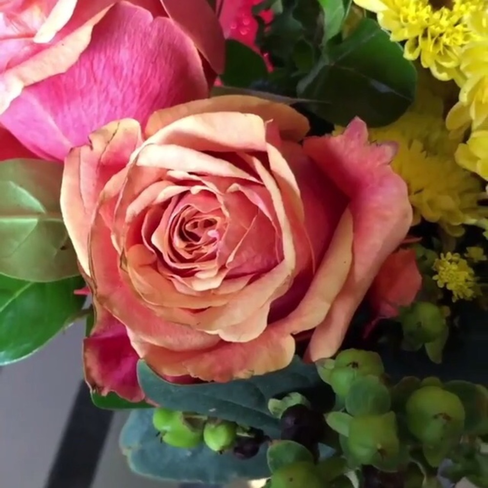 Meet your Posher, Ariel